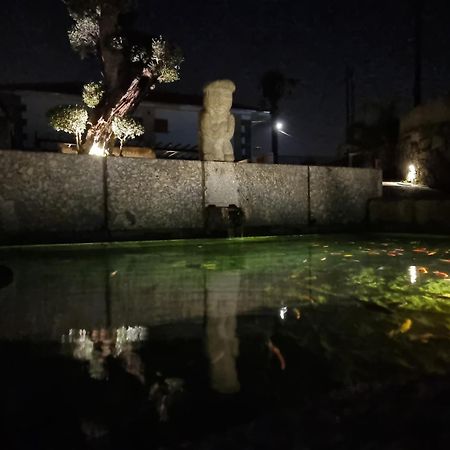 Casa Da Leira Villa Amarante Kültér fotó
