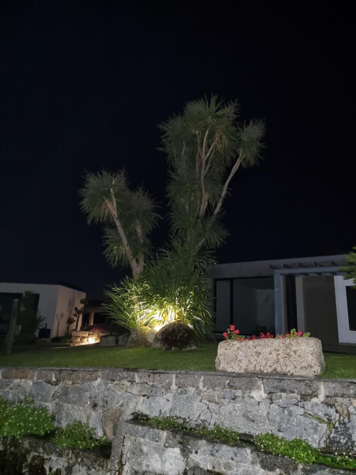 Casa Da Leira Villa Amarante Kültér fotó