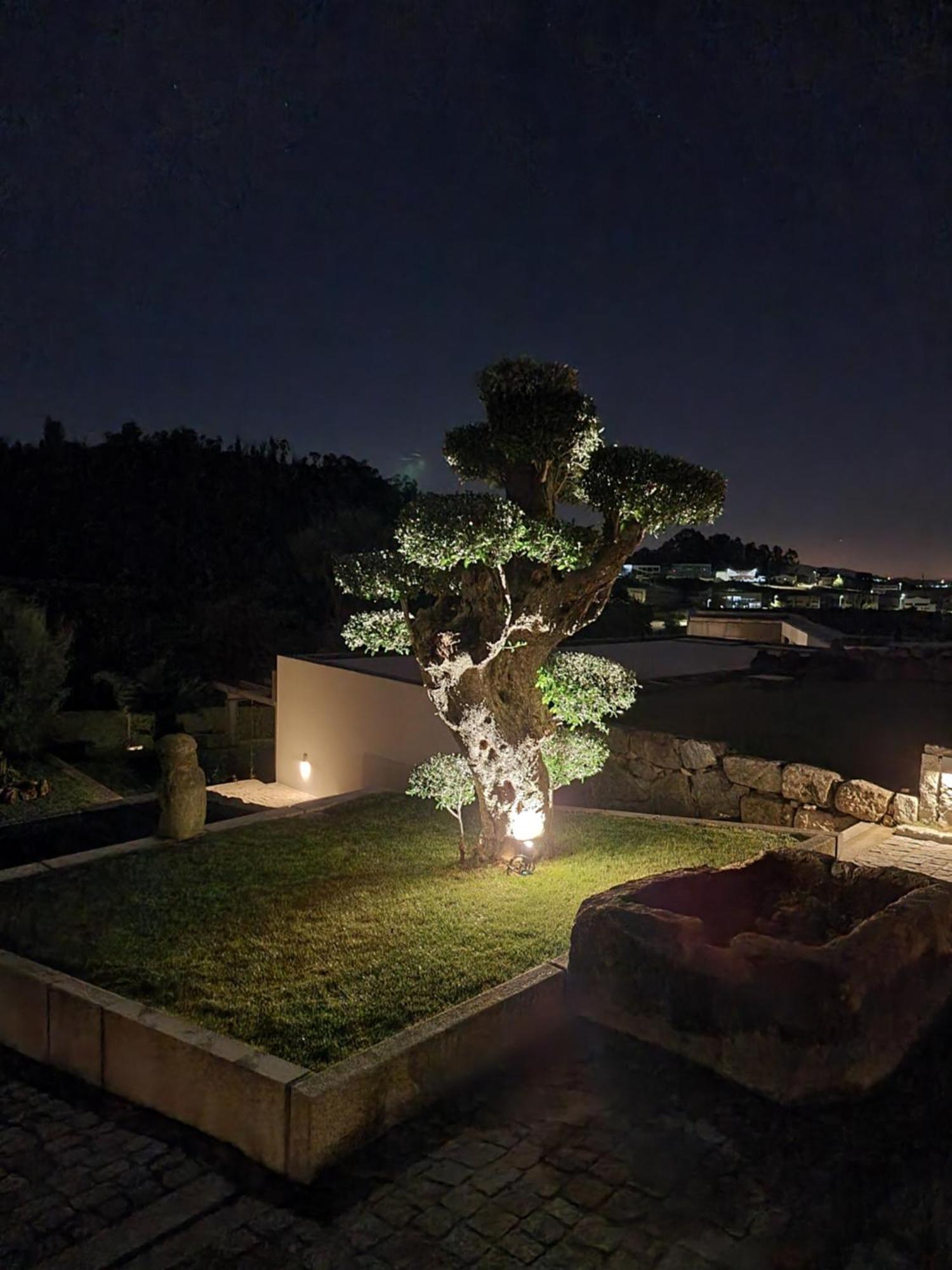 Casa Da Leira Villa Amarante Kültér fotó