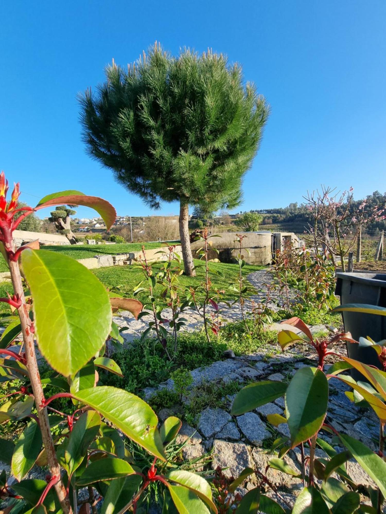 Casa Da Leira Villa Amarante Kültér fotó