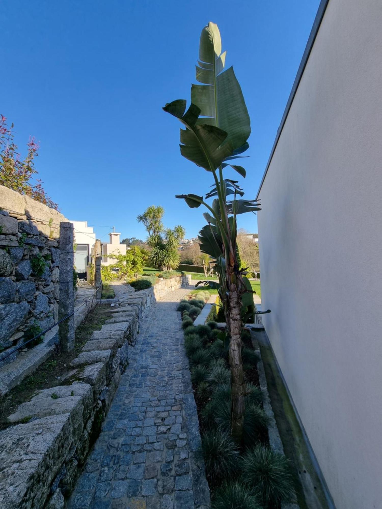 Casa Da Leira Villa Amarante Kültér fotó