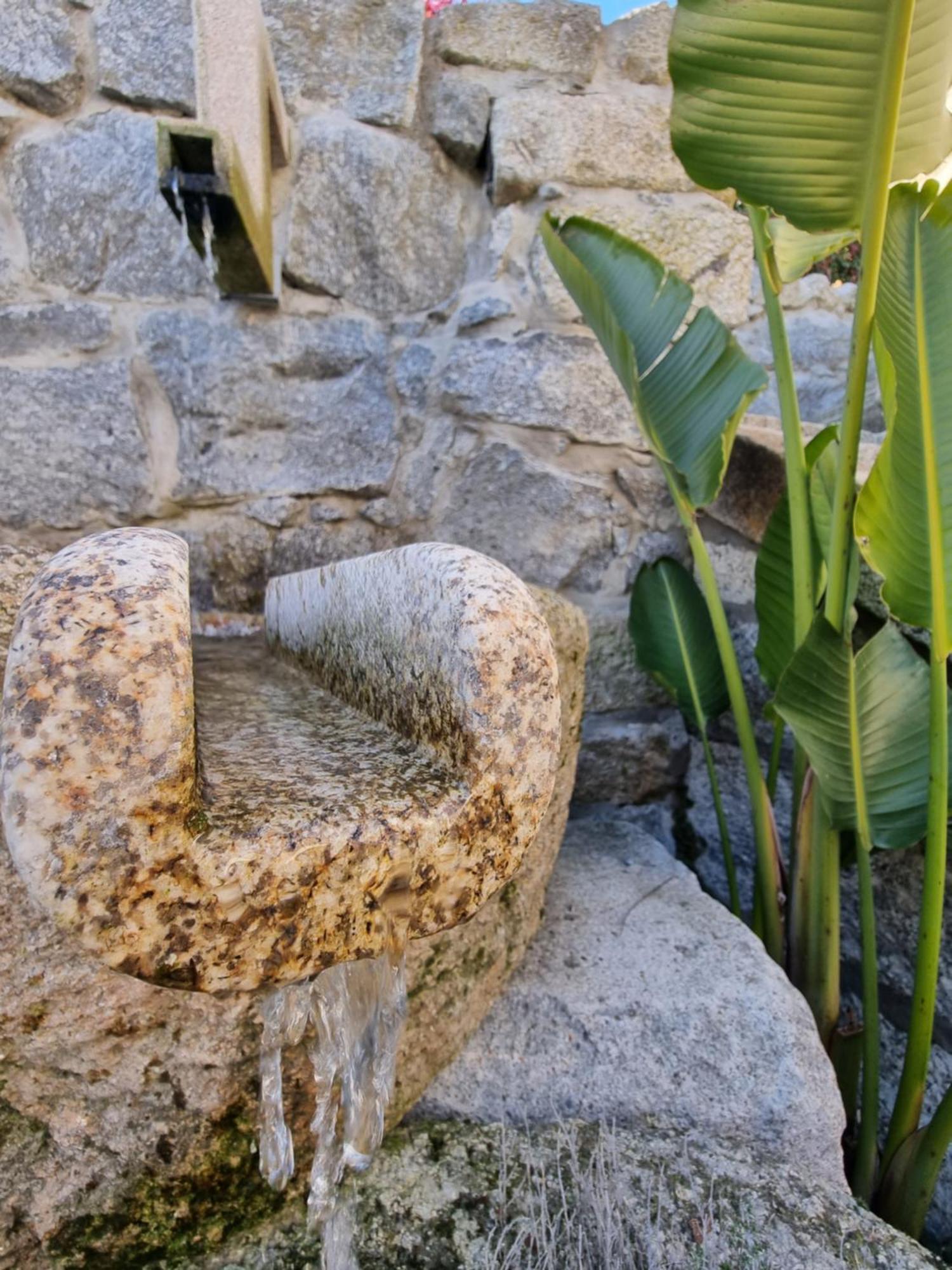 Casa Da Leira Villa Amarante Kültér fotó