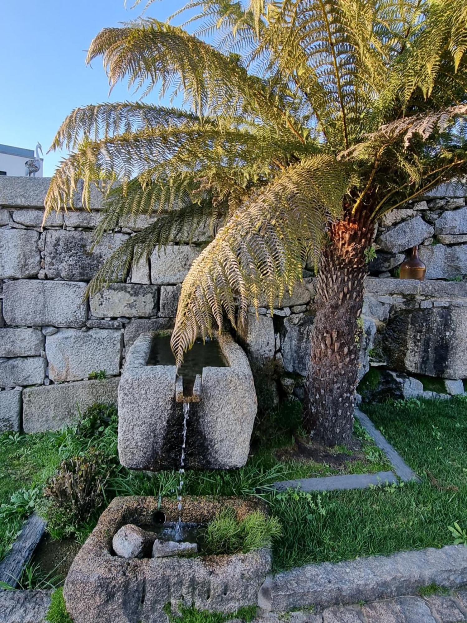 Casa Da Leira Villa Amarante Kültér fotó
